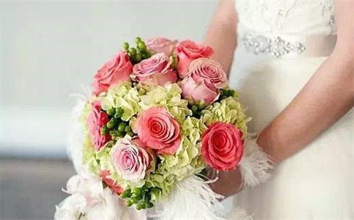 属鼠的适合养什么草药(属鼠的适合养什么草药植物)