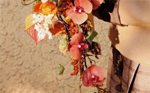 属虎和属鼠的合伙吗_属虎和属鼠的合伙吗好吗