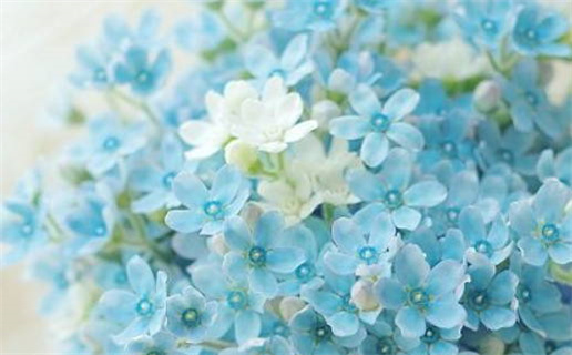 双子座和射手座能一起吗_双子座和射手座能一起吗女生