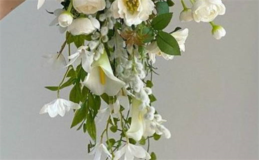 水瓶座适合做金融投资行业吗(水瓶座适合做金融投资行业吗女生)