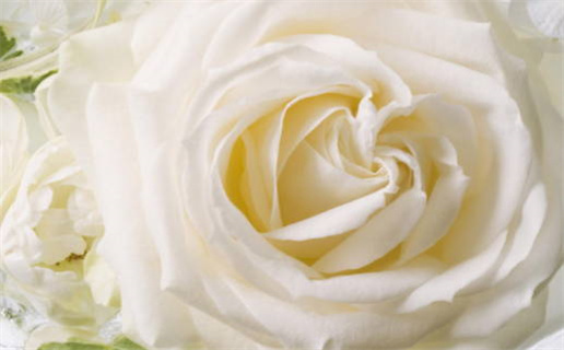 白羊座男生今天运势低迷是真的吗