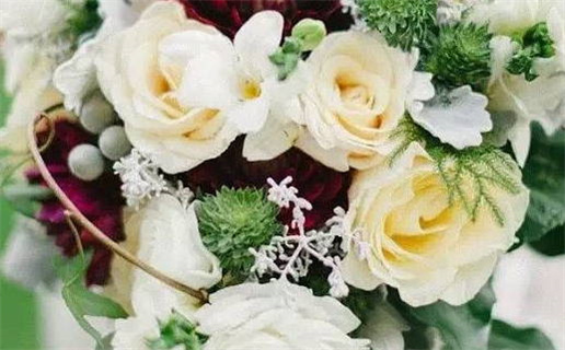 极居卯酉格女命配偶_极居卯酉格女命配偶