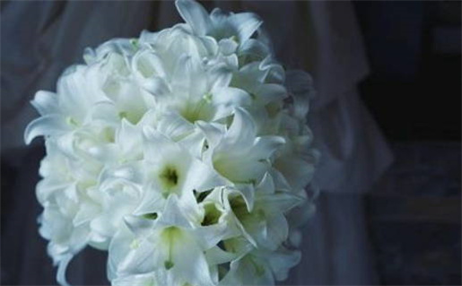 2018年属鼠的命(2018属鼠的是什么命)