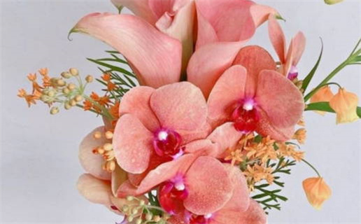 双子座被伤后会吃回头草吗(双子座被伤害后)