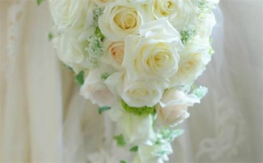 94年狗是金命还是土命(94年狗是金命还是土命呢)