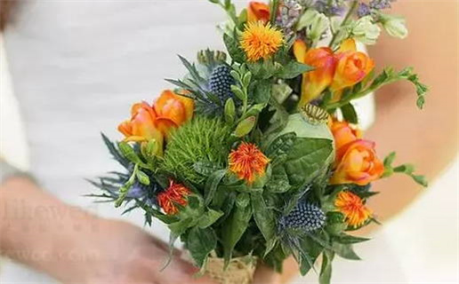 属鼠的跟属马的能否打交道_属鼠的跟属马的能否打交道呢