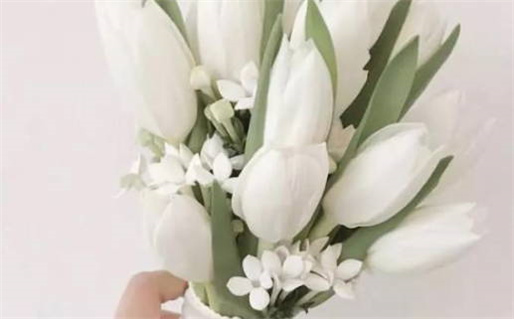 鼠女人性格特征解析聪明灵活与机智魅力