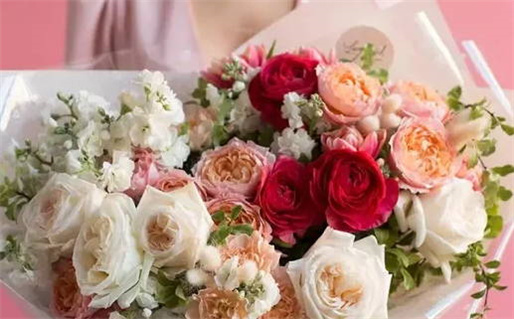 属马和属鼠的搭档可以吗(属马和属鼠的可以合作吗)