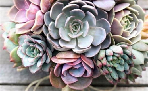 射手白羊与天蝎女的星座配对分析