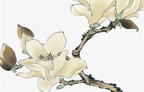 农历二〇二五年冬月三十黄历不适宜开工建设吗,动土好日子查询