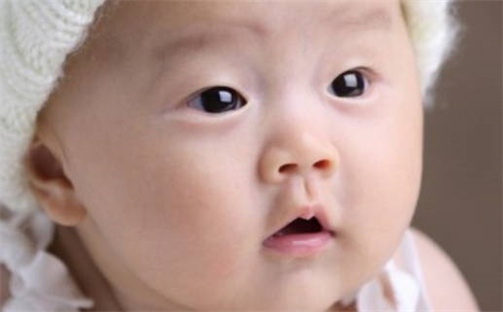 高姓女孩子取名